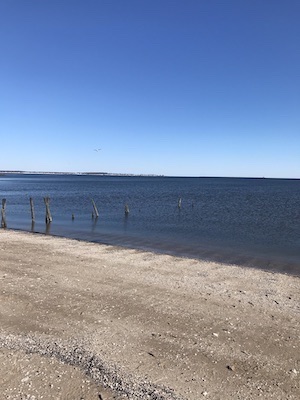 The shore of Savin Rock Beach