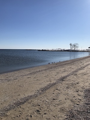 The shore of Savin Rock Beach