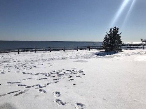 Savin Rock Trail, facing shore and gazebo