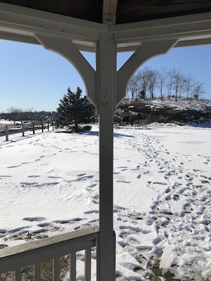 Inside gazebo, facing trail